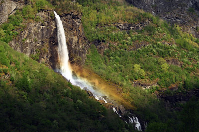 Scenic view of waterfall in forest