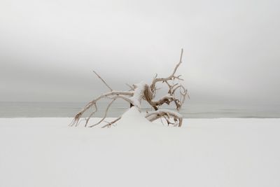 Close-up of snow on beach against sky