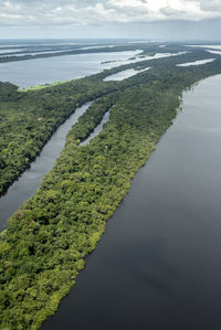 Beautiful aerial view to negro river green amazon island archipelago