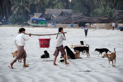 Rear view of people walking on beach