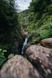 Stream flowing through rocks in forest