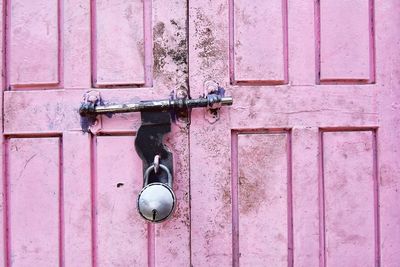 Close-up of closed pink door