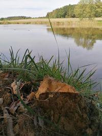 Scenic view of lake