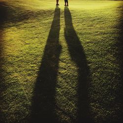 Shadow of people on grassy field