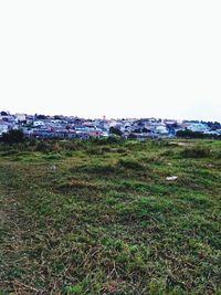 Scenic view of field against clear sky