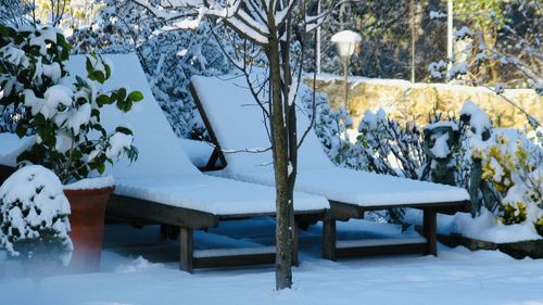 Snow covered table and bench against trees during winter