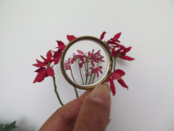 Close-up of hand holding decoration