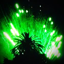 Low angle view of illuminated tree at night