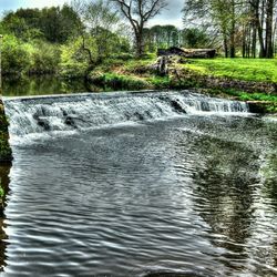 River flowing through trees