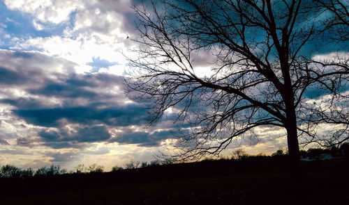 Low angle view of silhouette bare trees against sky