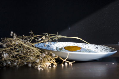 Close-up of breakfast with plant on table