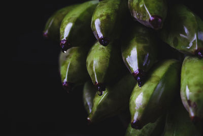 Close-up of fruits
