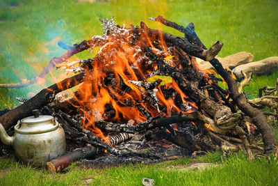 Bonfire on wooden log