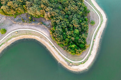 High angle view of road amidst trees