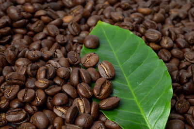 High angle view of coffee beans