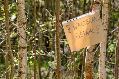 Close-up of text on tree trunk