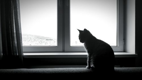 Cat sitting by window against clear sky