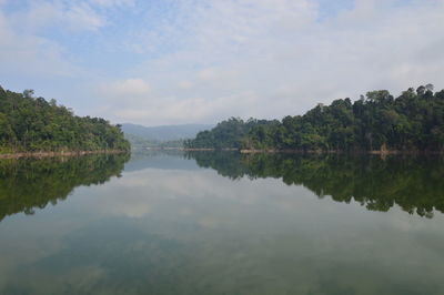 Reflection of trees in calm lake