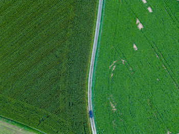 High angle view of soccer field