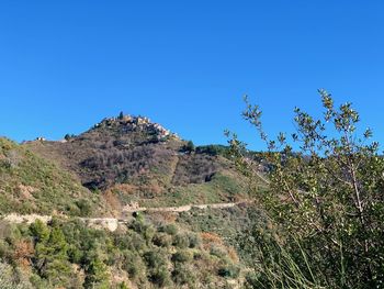 Low angle view of trees against clear blue sky