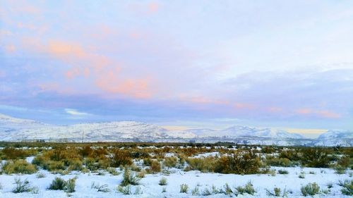 Snow covered field against sky