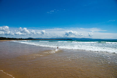 Scenic view of beach against blue sky
