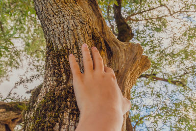 Low section of person against tree trunk