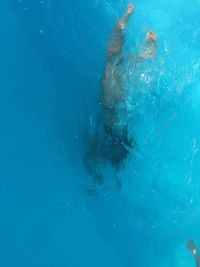 High angle view of swimming underwater in pool