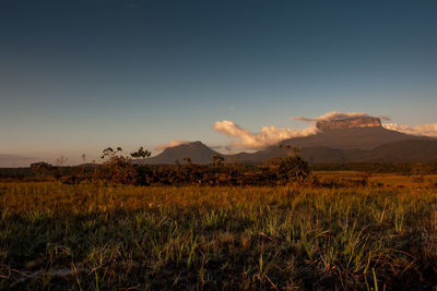 Scenic view of field against sky during sunset