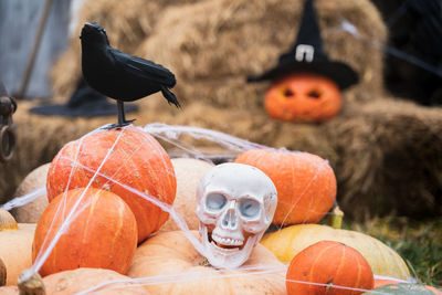 Close-up of pumpkin on pumpkins during halloween