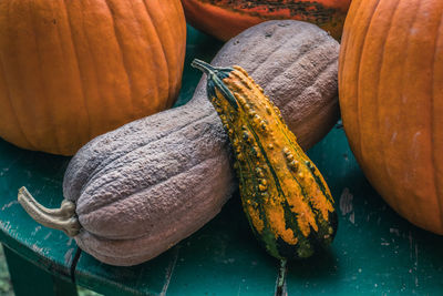 Close-up of pumpkin for sale at market