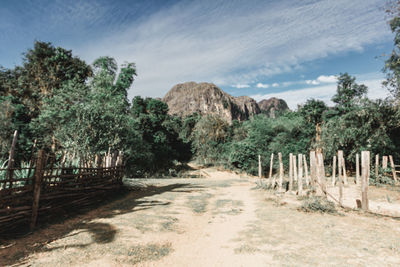 Road amidst trees against sky