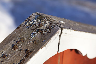 Close-up of wooden post
