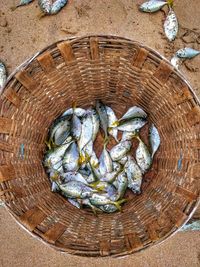 High angle view of fish in basket