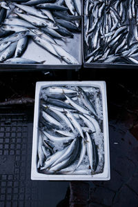 Close-up of food on table