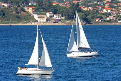 Sailboat sailing on sea