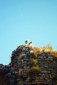 Low angle view of built structure against clear blue sky