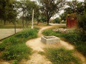 Footpath in park