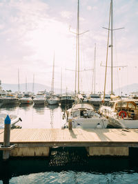 Sailboats moored at harbor