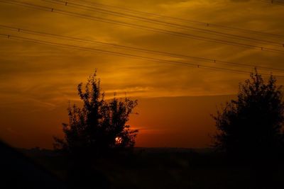 Silhouette of trees at sunset