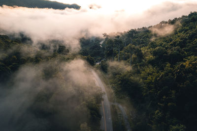 Scenic view of forest against sky