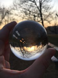 Close-up of hand holding crystal ball against trees