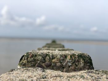 Close-up of rock by sea against sky