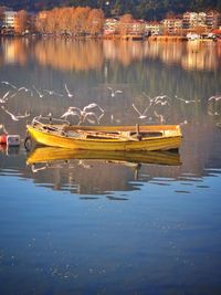 Boats in lake with seagull's 