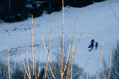 High angle view of people walking on snow during winter