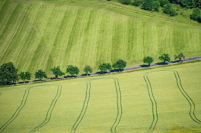 Scenic view of agricultural field