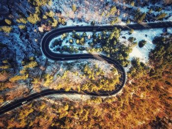 High angle view of car on road by trees