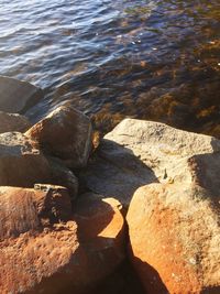 High angle view of rock in sea