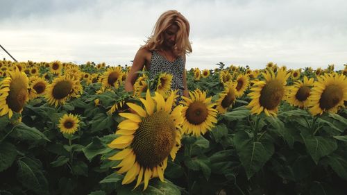 Young woman standing amidst sunflowers blooming on field against sky