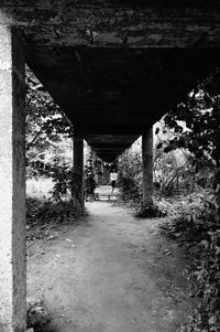 Silhouette trees against built structure